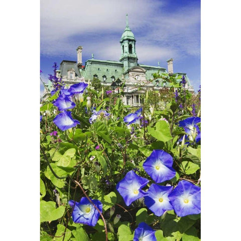 Canada, Quebec, Montreal City Hall building Black Modern Wood Framed Art Print with Double Matting by Flaherty, Dennis