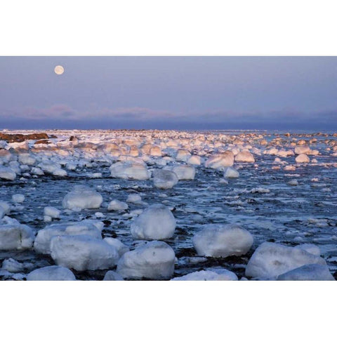 Canada, Hudson Bay Sunset and full moon rising Gold Ornate Wood Framed Art Print with Double Matting by Illg, Cathy and Gordon