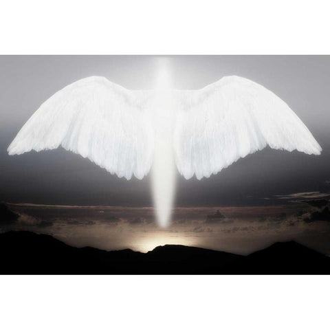 Artistic creation of angel or spirit Gold Ornate Wood Framed Art Print with Double Matting by Zuckerman, Jim