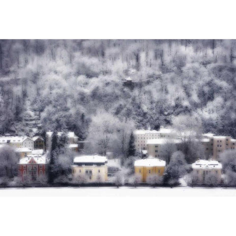 Austria, Salzburg Residences and snowy trees Gold Ornate Wood Framed Art Print with Double Matting by Young, Bill
