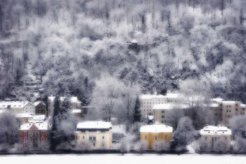 Austria, Salzburg Residences and snowy trees White Modern Wood Framed Art Print with Double Matting by Young, Bill