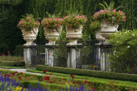 Austria, Salzburg Flower pots at Mirabell Palace White Modern Wood Framed Art Print with Double Matting by Flaherty, Dennis