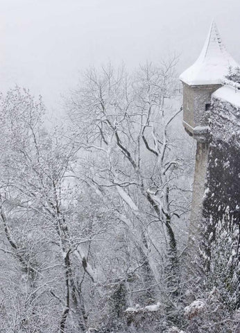 Austria, Salzburg Salzburg Castle wall in winter Black Ornate Wood Framed Art Print with Double Matting by Young, Bill