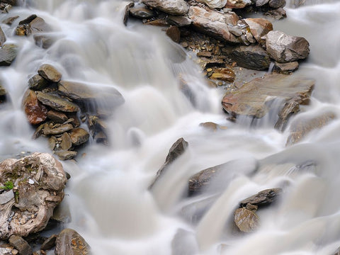 Glacial stream Rotmoosache in the Otztal Alps in the Naturepark Otztal. Europe- Austria- Tyrol Black Ornate Wood Framed Art Print with Double Matting by Zwick, Martin