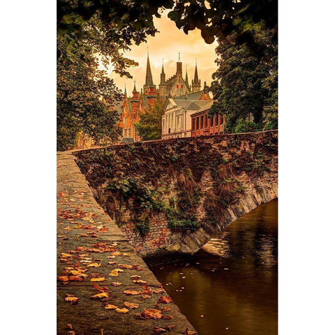 Fall leaf strewn bridge over a canal in Bruges-Belgium Black Modern Wood Framed Art Print by Steve Mohlenkamp