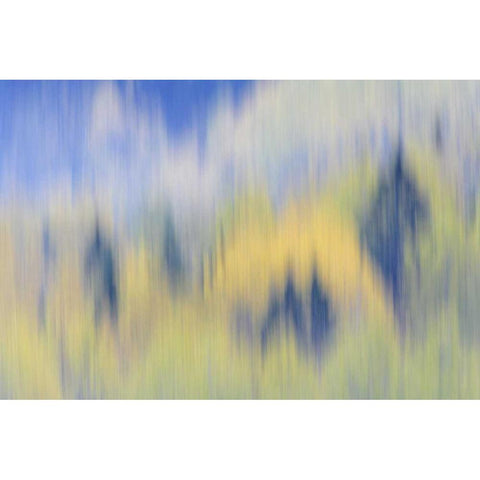 Finland, Nuuksio NP Abstract of fall color trees White Modern Wood Framed Art Print by Morris, Arthur