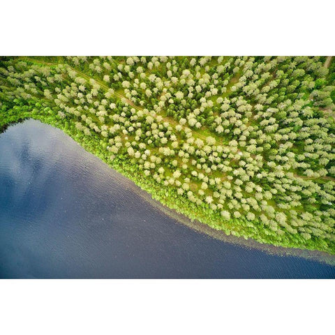Finlandia-Savonlinna-aerial view-forest and lake Black Modern Wood Framed Art Print by Molinari, Michele