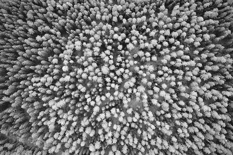 Finlandia-Savonlinna-aerial view White Modern Wood Framed Art Print with Double Matting by Molinari, Michele