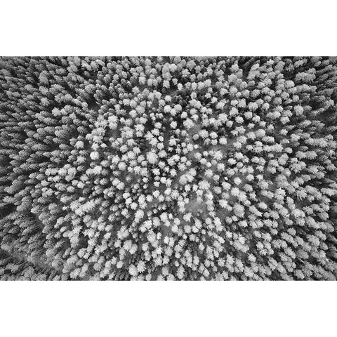 Finlandia-Savonlinna-aerial view Black Modern Wood Framed Art Print with Double Matting by Molinari, Michele