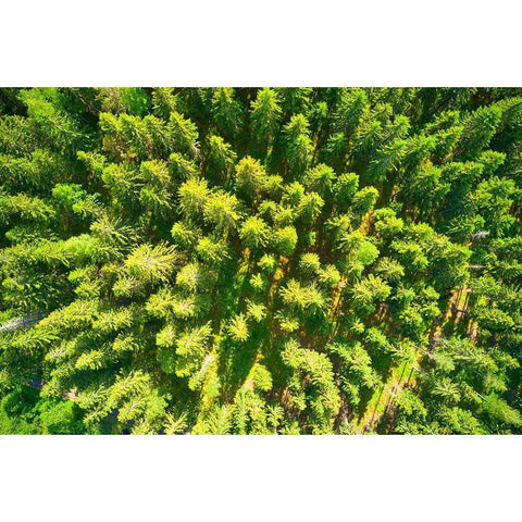 Finlandia-Savonlinna-aerial view Black Modern Wood Framed Art Print by Molinari, Michele