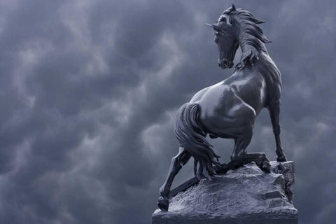 France, Paris Horse sculpture by Musee dOrsay White Modern Wood Framed Art Print with Double Matting by Zuckerman, Jim