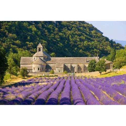 France, Gordes Cistercian monastery of Senanque Black Modern Wood Framed Art Print by Zuckerman, Jim
