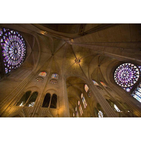 France, Paris Interior of Notre Dame Cathedral White Modern Wood Framed Art Print by Zuckerman, Jim