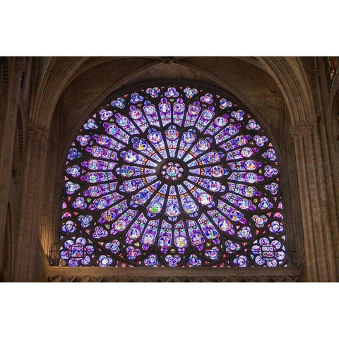 France, Paris Notre Dame Cathedral interior Black Modern Wood Framed Art Print by Zuckerman, Jim