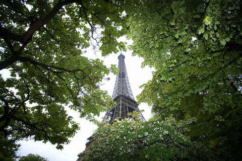 France, Paris Portion of Eiffel Tower in daytime Black Ornate Wood Framed Art Print with Double Matting by Zuckerman, Jim