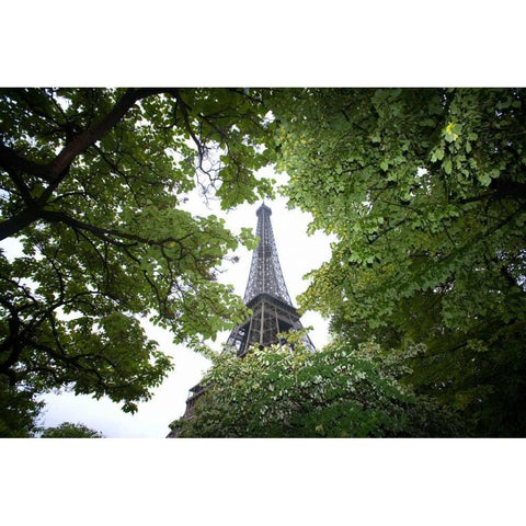 France, Paris Portion of Eiffel Tower in daytime Gold Ornate Wood Framed Art Print with Double Matting by Zuckerman, Jim