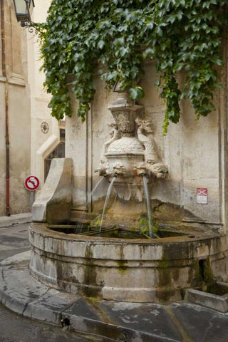 France, Provence, Water fountain on street corner Black Ornate Wood Framed Art Print with Double Matting by Lord, Fred