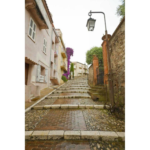France, Provence, Cannes Rain-covered steps Black Modern Wood Framed Art Print by Lord, Fred