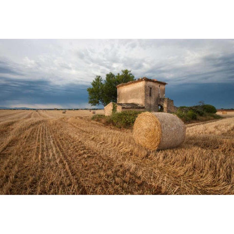 Europe, France Hay bale in Provence field Black Modern Wood Framed Art Print with Double Matting by Anon, Ellen