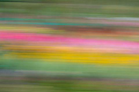 France-Giverny Abstract of flowers in Monets Garden  White Modern Wood Framed Art Print with Double Matting by Jaynes Gallery