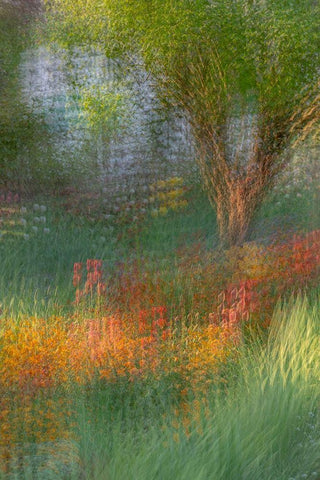 France-Giverny Impression of flowers in Monets Garden  White Modern Wood Framed Art Print with Double Matting by Jaynes Gallery
