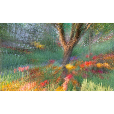 France-Giverny Impression of flowers in Monets Garden  Black Modern Wood Framed Art Print by Jaynes Gallery