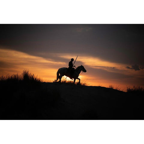 Europe-France-Provence-Camargue horse with rider at sunrise Black Modern Wood Framed Art Print by Jaynes Gallery