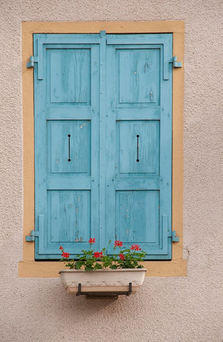 France-Burgundy A rustic window graces a building in the Burgundy village of Louhans Black Ornate Wood Framed Art Print with Double Matting by Sederquist, Betty