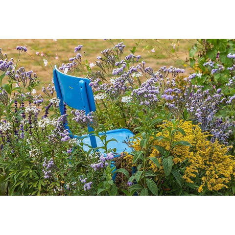 France-Haute-Vienne-Limoges Flowers and a chair in a garden in Limoges White Modern Wood Framed Art Print by Wilson, Emily