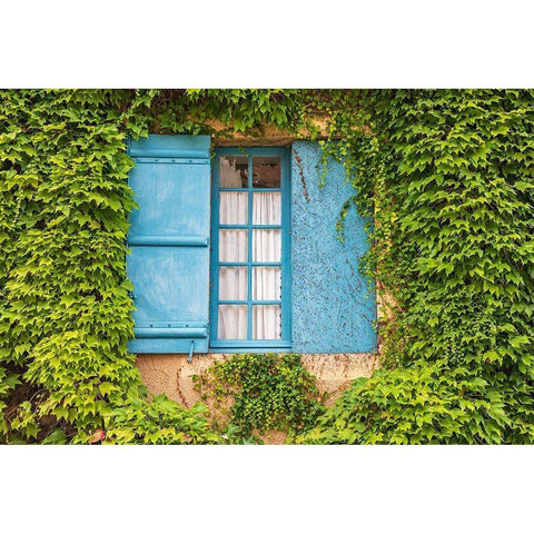 France-Dordogne-Hautefort A blue shuttered window in an ivy covered wall in the town of Hautefort Black Modern Wood Framed Art Print by Wilson, Emily