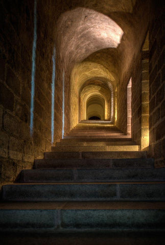 Stairs and hallway in Mont Saint-Michel on the Normandy coast of France Black Ornate Wood Framed Art Print with Double Matting by Steve Mohlenkamp
