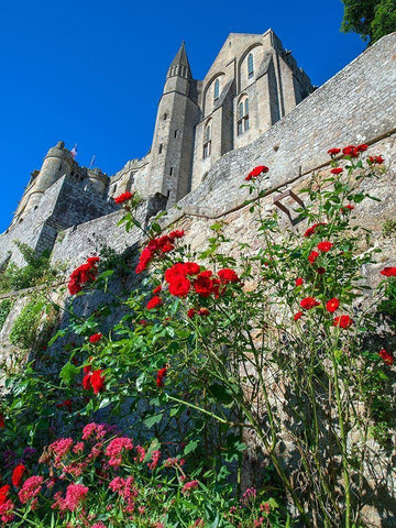 Mont Saint-Michel in Normandy France Black Ornate Wood Framed Art Print with Double Matting by Steve Mohlenkamp