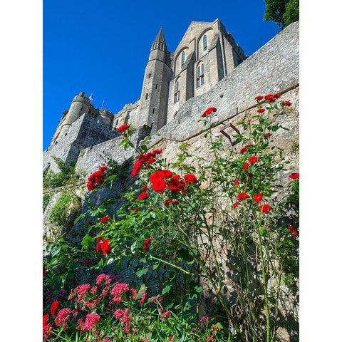 Mont Saint-Michel in Normandy France Black Modern Wood Framed Art Print by Steve Mohlenkamp