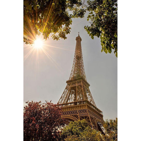 Eiffel Tower framed by trees and sunburst in Paris-France Black Modern Wood Framed Art Print by Steve Mohlenkamp