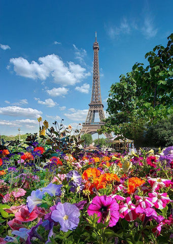 Flowers and Eiffel Tower in Paris-France White Modern Wood Framed Art Print with Double Matting by Steve Mohlenkamp