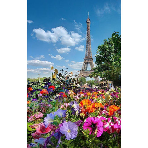 Fall and Eiffel Tower in Paris-France Black Modern Wood Framed Art Print by Steve Mohlenkamp