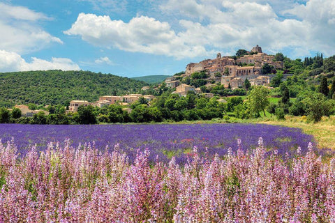 Lavender bloom near Sault in the south of France Black Ornate Wood Framed Art Print with Double Matting by Steve Mohlenkamp
