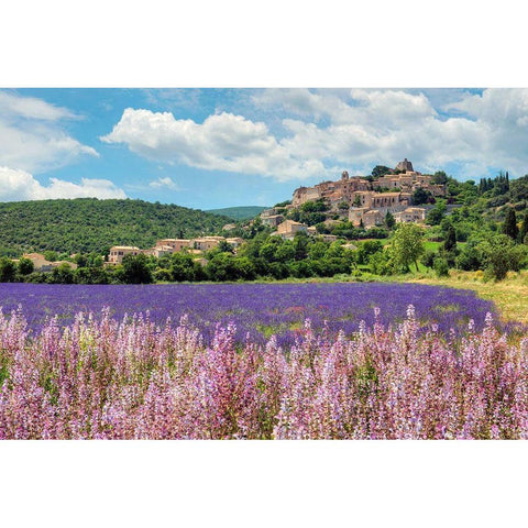 Lavender bloom near Sault in the south of France Gold Ornate Wood Framed Art Print with Double Matting by Steve Mohlenkamp