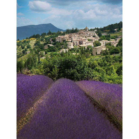 Lavender bloom near Sault in the south of France Gold Ornate Wood Framed Art Print with Double Matting by Steve Mohlenkamp