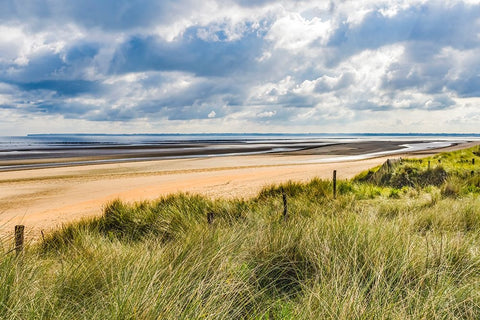 Utah Beach- beach grass- Normandy- France. Black Ornate Wood Framed Art Print with Double Matting by Perry, William