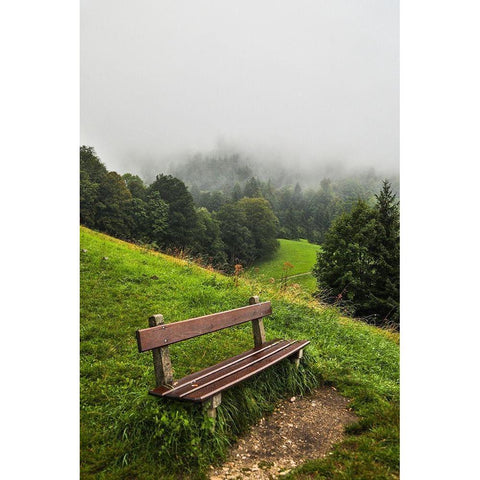 Germany-Bavaria-Berchtesgaden-Early Morning Fog Black Modern Wood Framed Art Print by Looney, Hollice