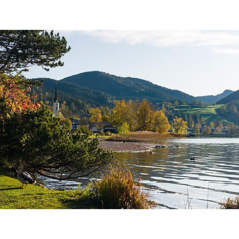 Lake and village Schliersee in the Bavarian Alps-Bavaria-Germany Black Modern Wood Framed Art Print by Zwick, Martin