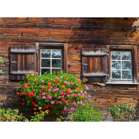 The historic alpine settlement Gerstruben in the Allgau near Oberstdorf-Germany-Bavaria Black Modern Wood Framed Art Print with Double Matting by Zwick, Martin