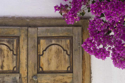 Greece, Hora Wooden doorway and bougainvillea Black Ornate Wood Framed Art Print with Double Matting by Young, Bill