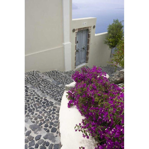 Greece, Santorini, Oia Pebbled stree stairs Black Modern Wood Framed Art Print with Double Matting by Young, Bill
