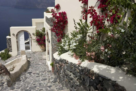 Greece, Santorini, Thira, Oia Pebbled staircase White Modern Wood Framed Art Print with Double Matting by Young, Bill