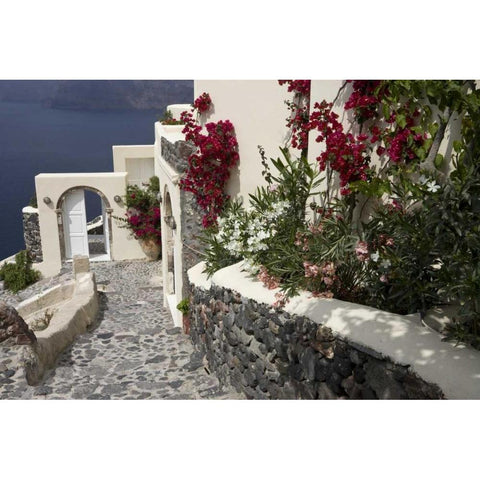 Greece, Santorini, Thira, Oia Pebbled staircase Black Modern Wood Framed Art Print by Young, Bill