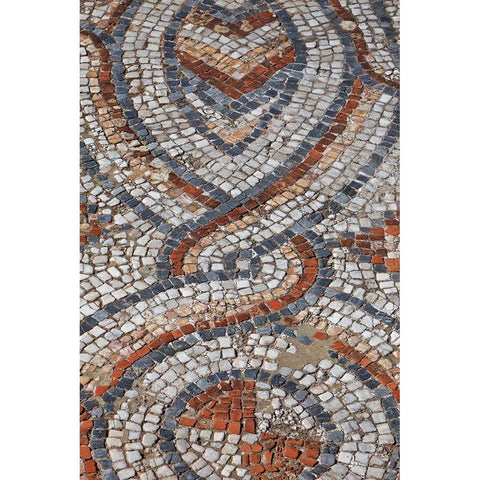 Turkey-Ephesus Roman mosaic floor in ancient city  Black Modern Wood Framed Art Print with Double Matting by Jaynes Gallery