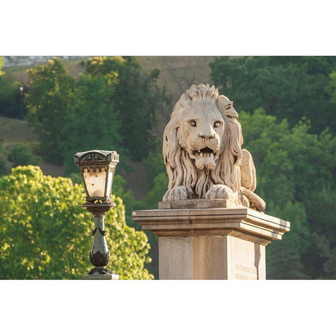 Hungary-Budapest-Lion sculpture on the Szechenyi Chain Bridge White Modern Wood Framed Art Print by Haseltine, Tom