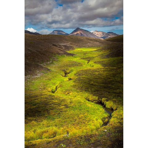 Colorful lichen along small stream in the mountains-Iceland Black Modern Wood Framed Art Print by Jones, Adam